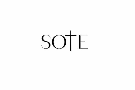 SOTE logo