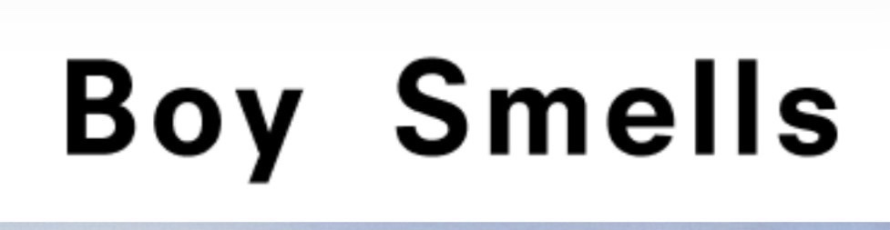 Boy Smells logo